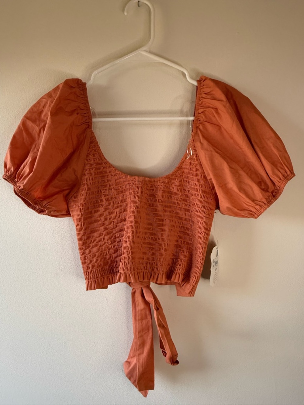 Altar'd State Rust Orange Puff Sleeve Smocked Crop Top
